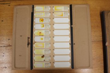 Media type: image;   Special Collections 4184 shows cataloged_item 4185 shows cataloged_item 4186 shows cataloged_item 4187 shows cataloged_item 4188 shows cataloged_item 4189 shows cataloged_item 4190 Description: Documentation photo of Wilder folder/label A5;